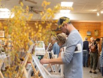 Meander Art Crawl
